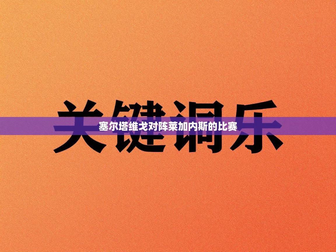 塞尔塔维戈对阵莱加内斯的比赛  第2张