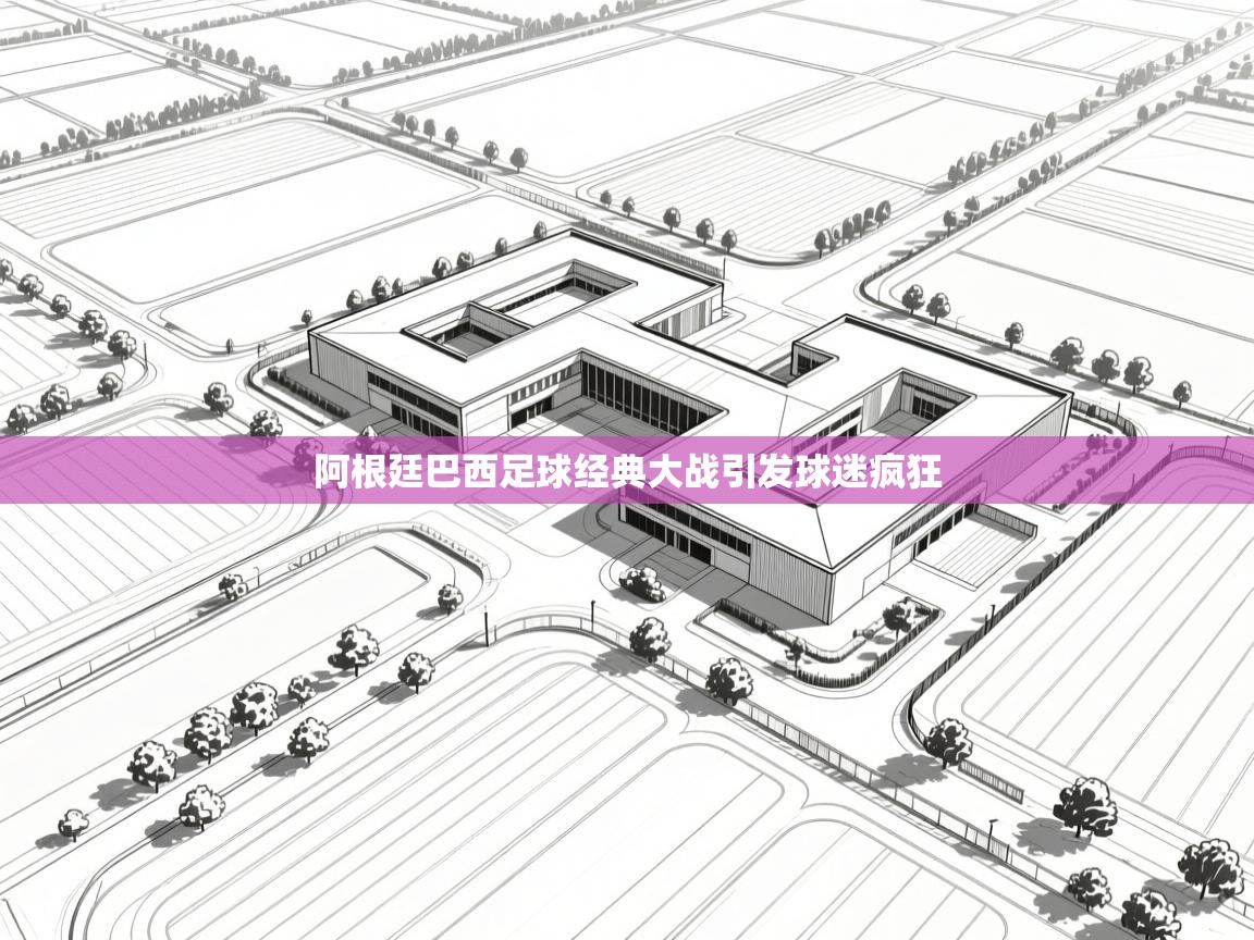 阿根廷巴西足球经典大战引发球迷疯狂  第1张