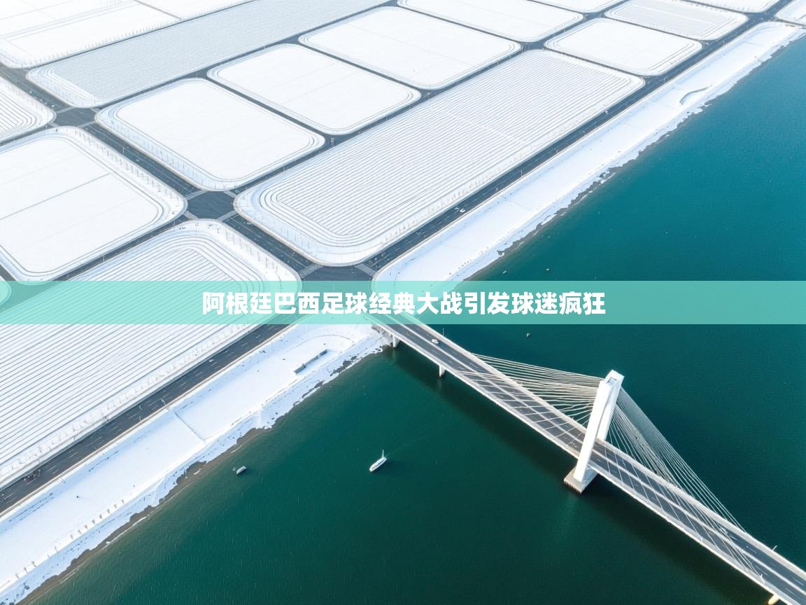 阿根廷巴西足球经典大战引发球迷疯狂  第2张