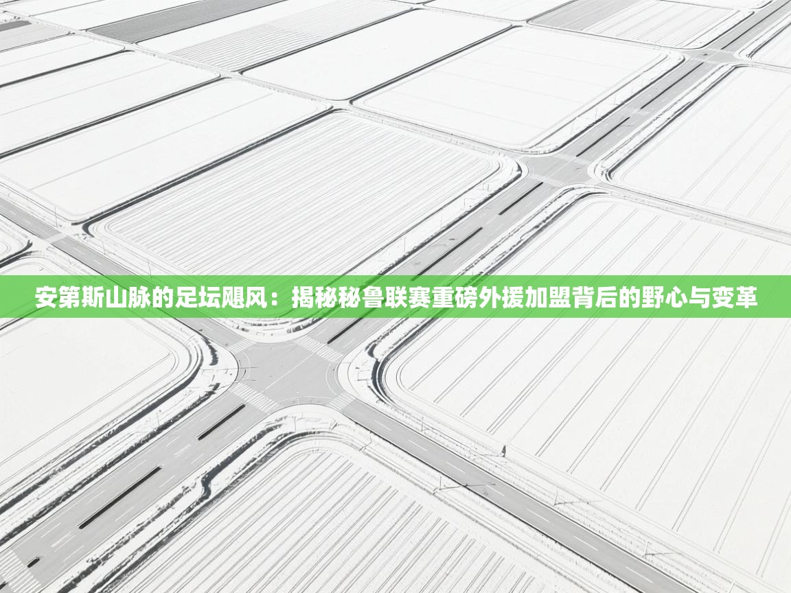 安第斯山脉的足坛飓风：揭秘秘鲁联赛重磅外援加盟背后的野心与变革  第2张