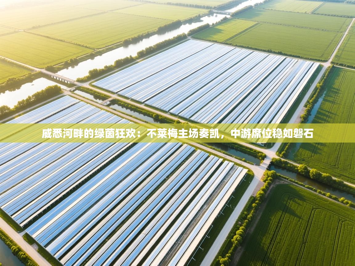 威悉河畔的绿茵狂欢：不莱梅主场奏凯，中游席位稳如磐石  第1张