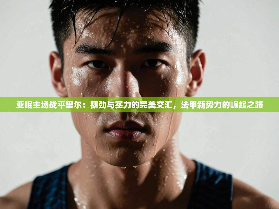 亚眠主场战平里尔：韧劲与实力的完美交汇，法甲新势力的崛起之路