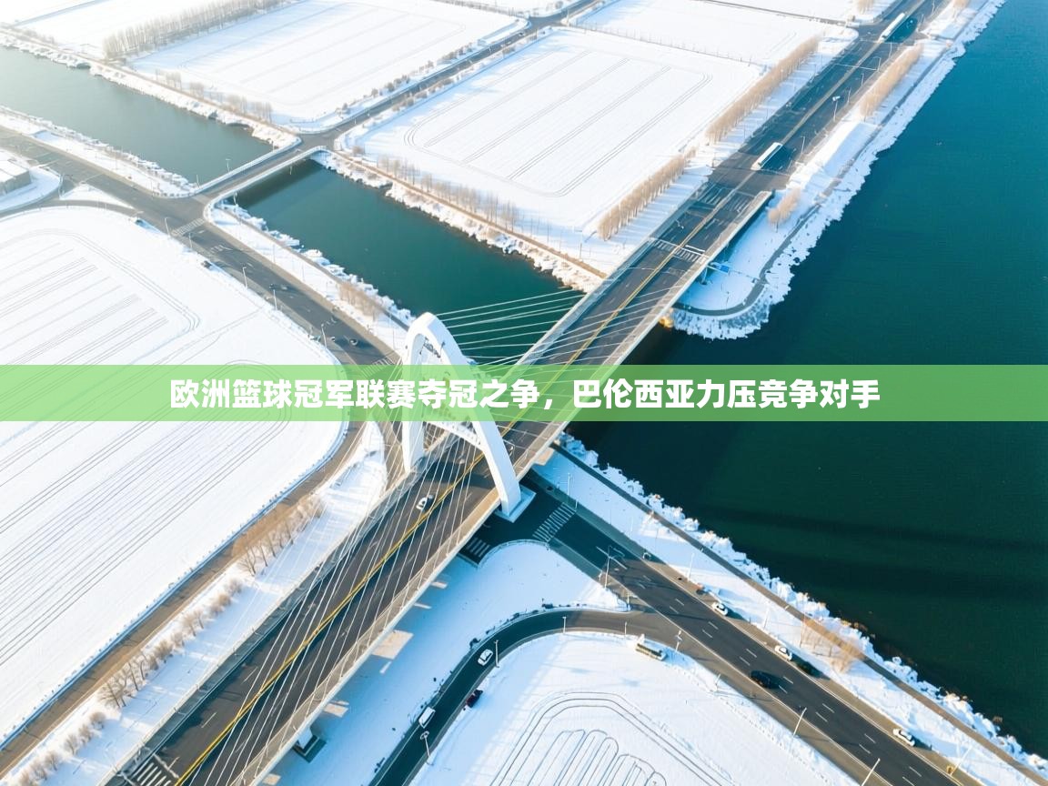 欧洲篮球冠军联赛夺冠之争，巴伦西亚力压竞争对手